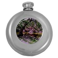 Old Tree 6 Round Hip Flask (5 Oz) by bestdesignintheworld