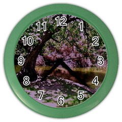 Old Tree 6 Color Wall Clocks by bestdesignintheworld