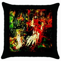 Sunset In A Desert Of Mexico 1 Throw Pillow Case (black) by bestdesignintheworld