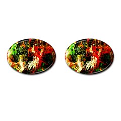 Sunset In A Desert Of Mexico 1 Cufflinks (oval) by bestdesignintheworld