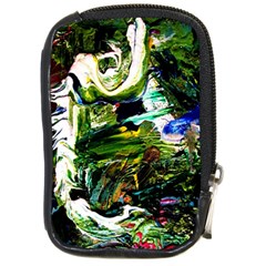 Bow Of Scorpio Before A Butterfly 8 Compact Camera Cases by bestdesignintheworld