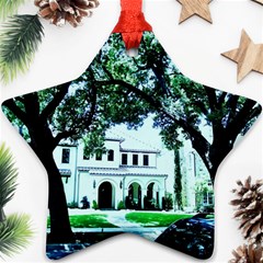 Hot Day In Dallas 16 Ornament (star) by bestdesignintheworld