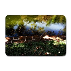 Highland Park 10 Small Doormat  by bestdesignintheworld