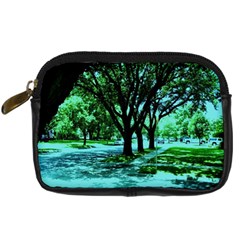 Hot Day In Dallas 5 Digital Camera Cases by bestdesignintheworld