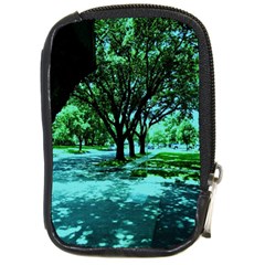 Hot Day In Dallas 5 Compact Camera Cases by bestdesignintheworld