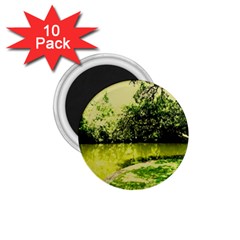 Lake Park 9 1 75  Magnets (10 Pack)  by bestdesignintheworld