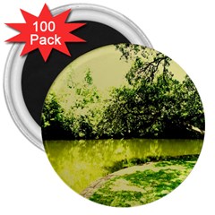 Lake Park 9 3  Magnets (100 Pack) by bestdesignintheworld