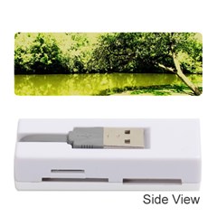 Lake Park 9 Memory Card Reader (stick)  by bestdesignintheworld