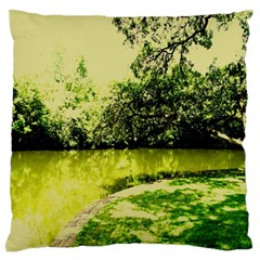 Lake Park 9 Standard Flano Cushion Case (two Sides) by bestdesignintheworld