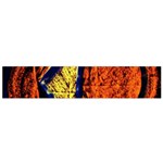 Cryptography Of The Planet 9 Small Flano Scarf Back