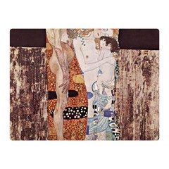 The Three Ages Of Woman- Gustav Klimt Double Sided Flano Blanket (mini)  by Valentinaart