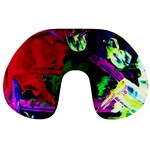 Spooky Attick 4 Travel Neck Pillows Back