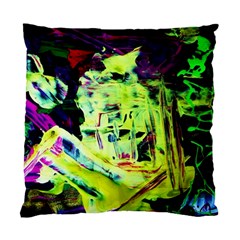 Spooky Attick 10 Standard Cushion Case (two Sides) by bestdesignintheworld