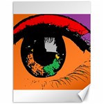 Eyes Makeup Human Drawing Color Canvas 18  x 24   17.8 x23.08  Canvas - 1