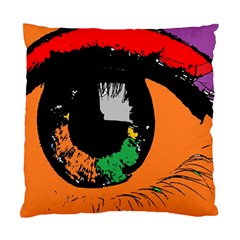 Eyes Makeup Human Drawing Color Standard Cushion Case (one Side) by Simbadda