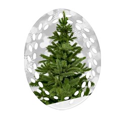 Christmas Xmas Tree Bokeh Oval Filigree Ornament (two Sides) by Simbadda