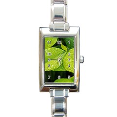 Leaf Green Foliage Green Leaves Rectangle Italian Charm Watch by Simbadda