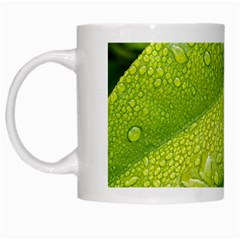 Leaf Green Foliage Green Leaves White Mugs by Simbadda