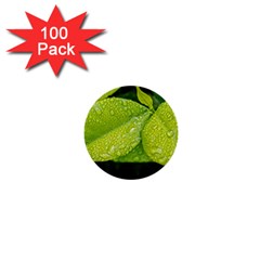 Leaf Green Foliage Green Leaves 1  Mini Buttons (100 Pack)  by Simbadda