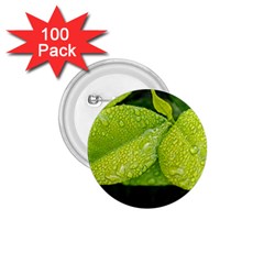 Leaf Green Foliage Green Leaves 1 75  Buttons (100 Pack)  by Simbadda