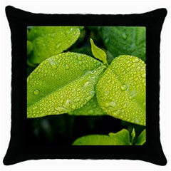 Leaf Green Foliage Green Leaves Throw Pillow Case (black) by Simbadda