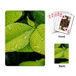 Leaf Green Foliage Green Leaves Playing Card Back