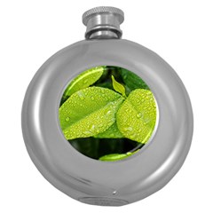 Leaf Green Foliage Green Leaves Round Hip Flask (5 Oz) by Simbadda