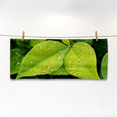 Leaf Green Foliage Green Leaves Cosmetic Storage Cases by Simbadda