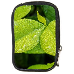 Leaf Green Foliage Green Leaves Compact Camera Cases by Simbadda