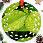 Leaf Green Foliage Green Leaves Ornament (Round Filigree) Front