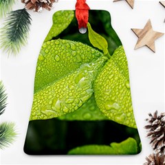 Leaf Green Foliage Green Leaves Ornament (bell) by Simbadda