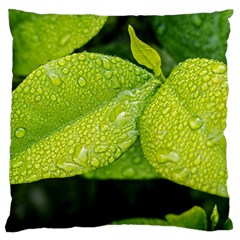 Leaf Green Foliage Green Leaves Large Cushion Case (one Side) by Simbadda