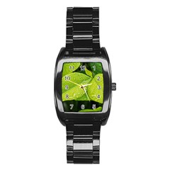 Leaf Green Foliage Green Leaves Stainless Steel Barrel Watch by Simbadda