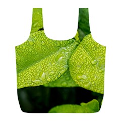 Leaf Green Foliage Green Leaves Full Print Recycle Bags (l)  by Simbadda