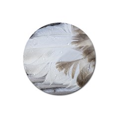 Feather Brown Gray White Natural Photography Elegant Magnet 3  (round) by yoursparklingshop