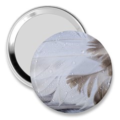 Feather Brown Gray White Natural Photography Elegant 3  Handbag Mirrors by yoursparklingshop