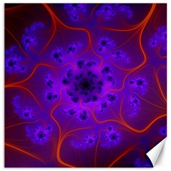 Fractal Mandelbrot Canvas 12  X 12   by Simbadda