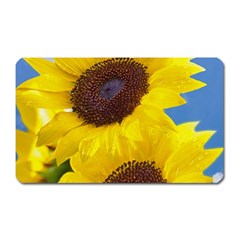 Sunflower Floral Yellow Blue Sky Flowers Photography Magnet (rectangular) by yoursparklingshop