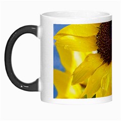 Sunflower Floral Yellow Blue Sky Flowers Photography Morph Mugs by yoursparklingshop