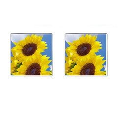 Sunflower Floral Yellow Blue Sky Flowers Photography Cufflinks (square) by yoursparklingshop