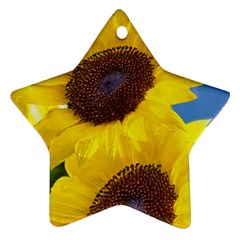 Sunflower Floral Yellow Blue Sky Flowers Photography Star Ornament (two Sides) by yoursparklingshop