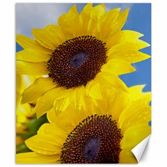 Sunflower Floral Yellow Blue Sky Flowers Photography Canvas 8  X 10  by yoursparklingshop