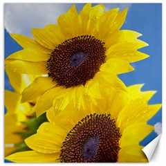 Sunflower Floral Yellow Blue Sky Flowers Photography Canvas 12  X 12   by yoursparklingshop