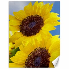 Sunflower Floral Yellow Blue Sky Flowers Photography Canvas 12  X 16   by yoursparklingshop