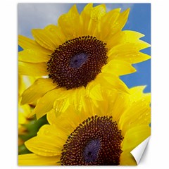 Sunflower Floral Yellow Blue Sky Flowers Photography Canvas 16  X 20   by yoursparklingshop