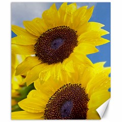 Sunflower Floral Yellow Blue Sky Flowers Photography Canvas 20  X 24   by yoursparklingshop