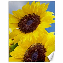 Sunflower Floral Yellow Blue Sky Flowers Photography Canvas 36  X 48   by yoursparklingshop