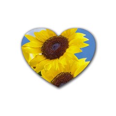 Sunflower Floral Yellow Blue Sky Flowers Photography Heart Coaster (4 Pack)  by yoursparklingshop