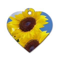 Sunflower Floral Yellow Blue Sky Flowers Photography Dog Tag Heart (two Sides) by yoursparklingshop