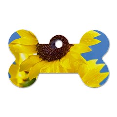 Sunflower Floral Yellow Blue Sky Flowers Photography Dog Tag Bone (two Sides)